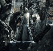 The Hobbit: The Desolation Of Smaug